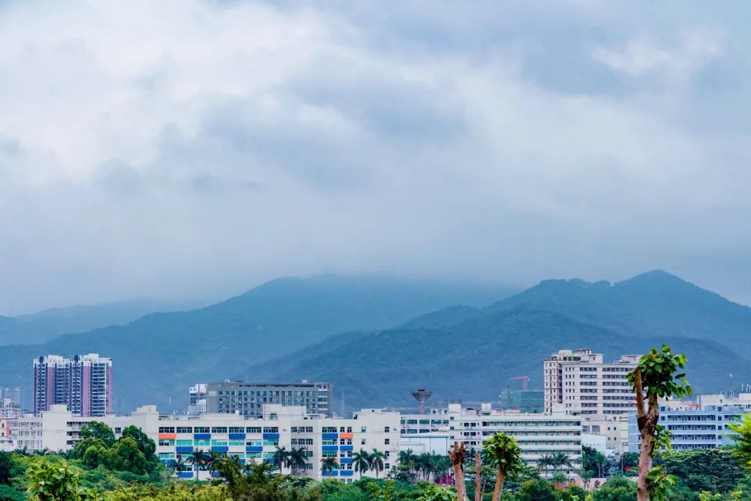 深圳10公里跑步路线,深圳跑步路线推荐塑胶跑道