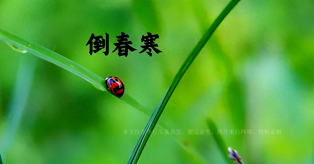 一年两头春属于寡妇年吗,双春兼闰二月是好年吗