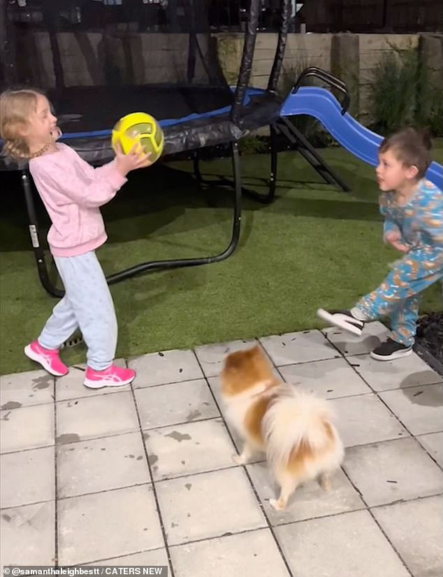 濮愬淇╁湪鏂拌タ鍏扮殑鐢熸椿 (涓ゅ濡瑰湪鏂拌タ鍏扮殑鏃ュ父鐢熸椿)