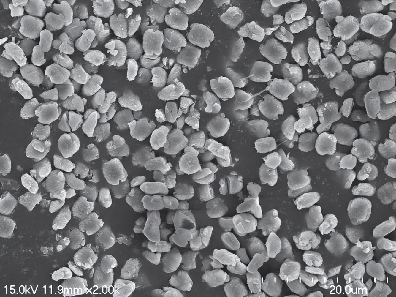 氧化锌在饲料里的作用,氧化锌纳米材料的制备