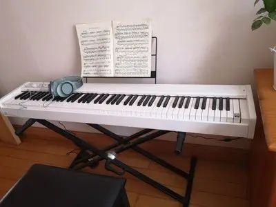 电钢琴入门指南,买电钢琴的建议