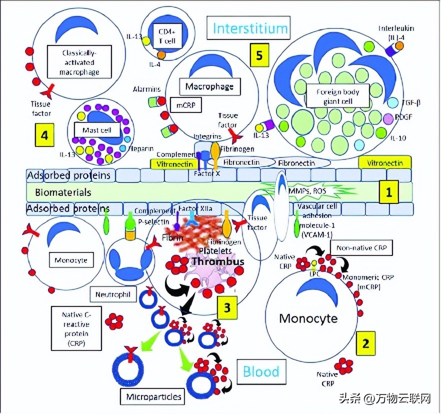 生物化学原理,生物化学入门教程