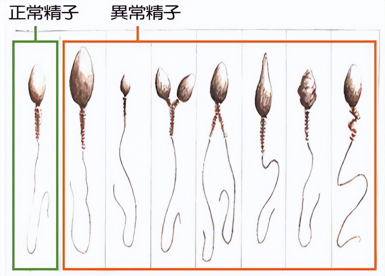 云南和陕西先后发布捐精倡议书捐精其实没你想的那么简单