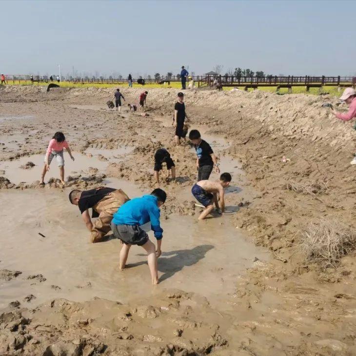 发展“禾下经济”亩收益达1万元！“小明大米”走稳高端赣米品牌