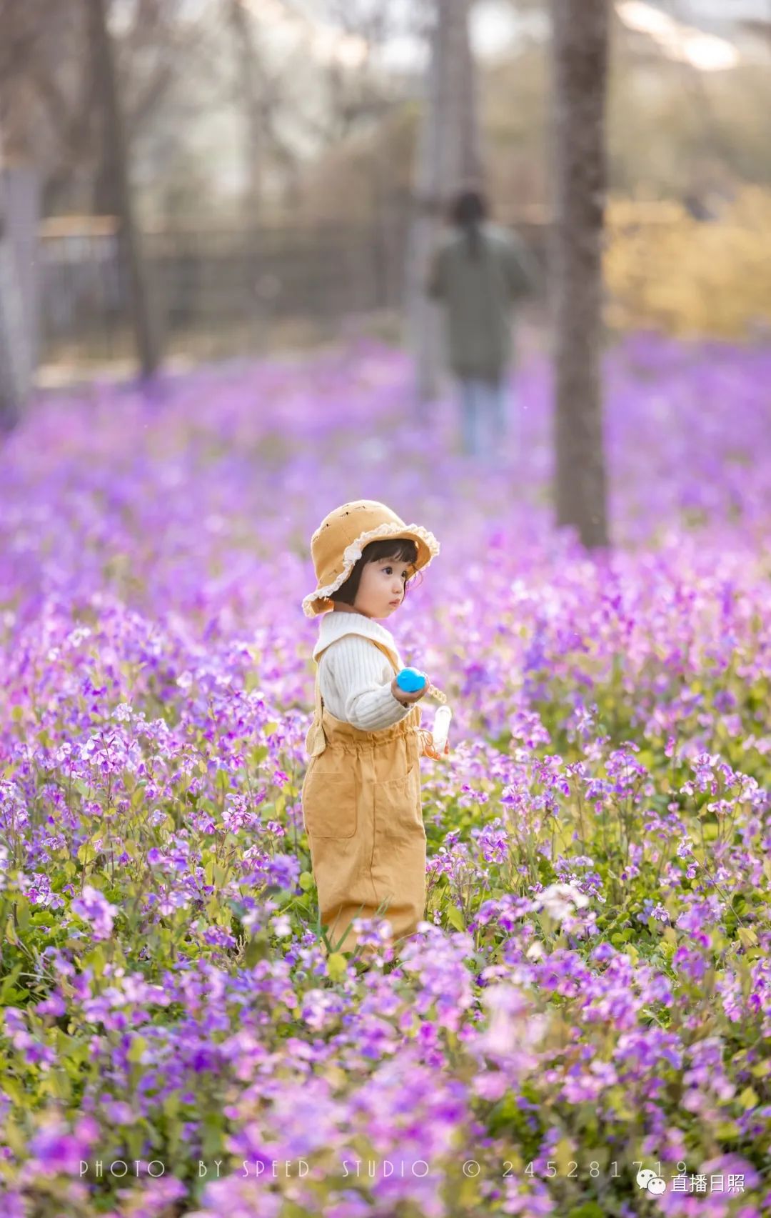 日照夜生活哪里玩,日照晚上去哪里玩