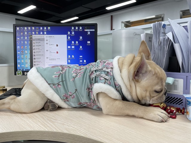 体制内搞副业还是提升技能,体制内搞副业做什么好