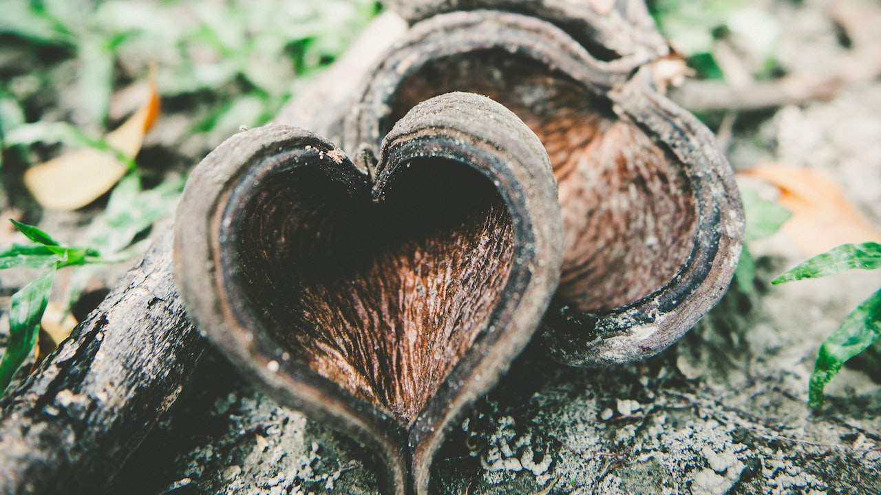 男女之间比较亲密的友谊,男女之间最亲密的关系是什么