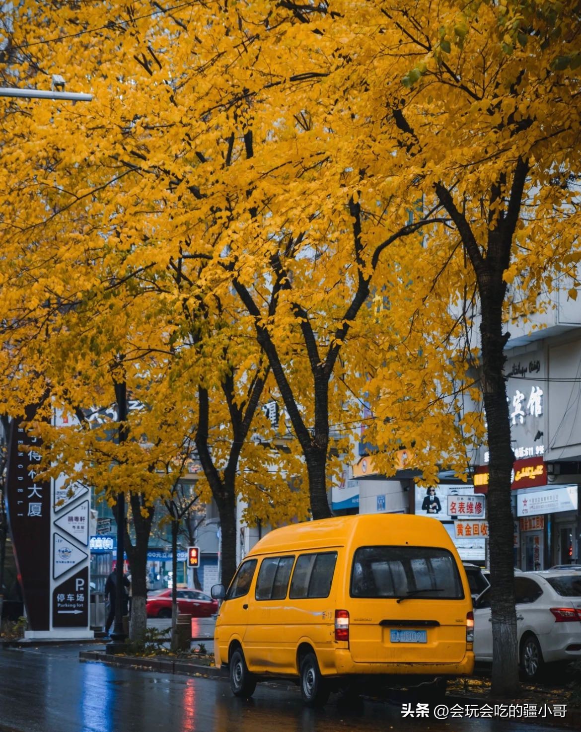 我在他乡挺好的07预告,我在他乡挺好的01花絮