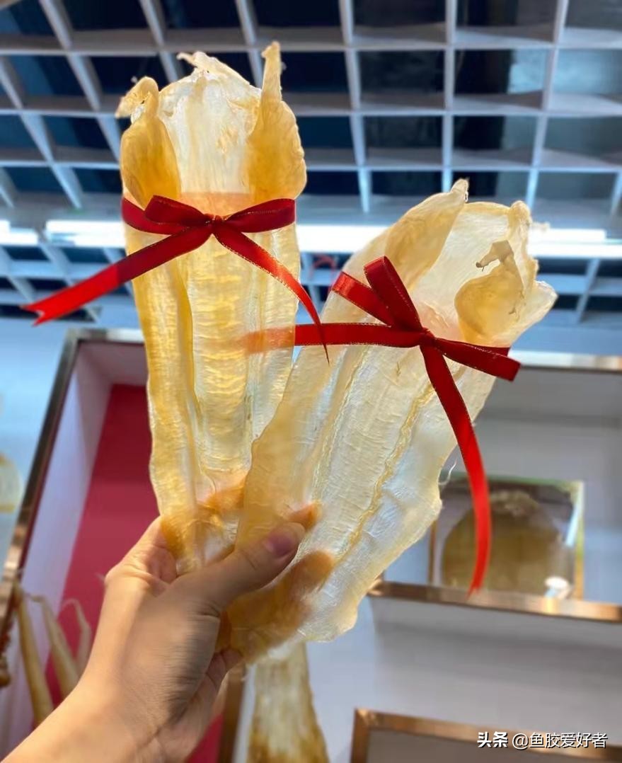 鱼胶怎么挑选视频教程,鱼胶如何挑选便宜又好吃