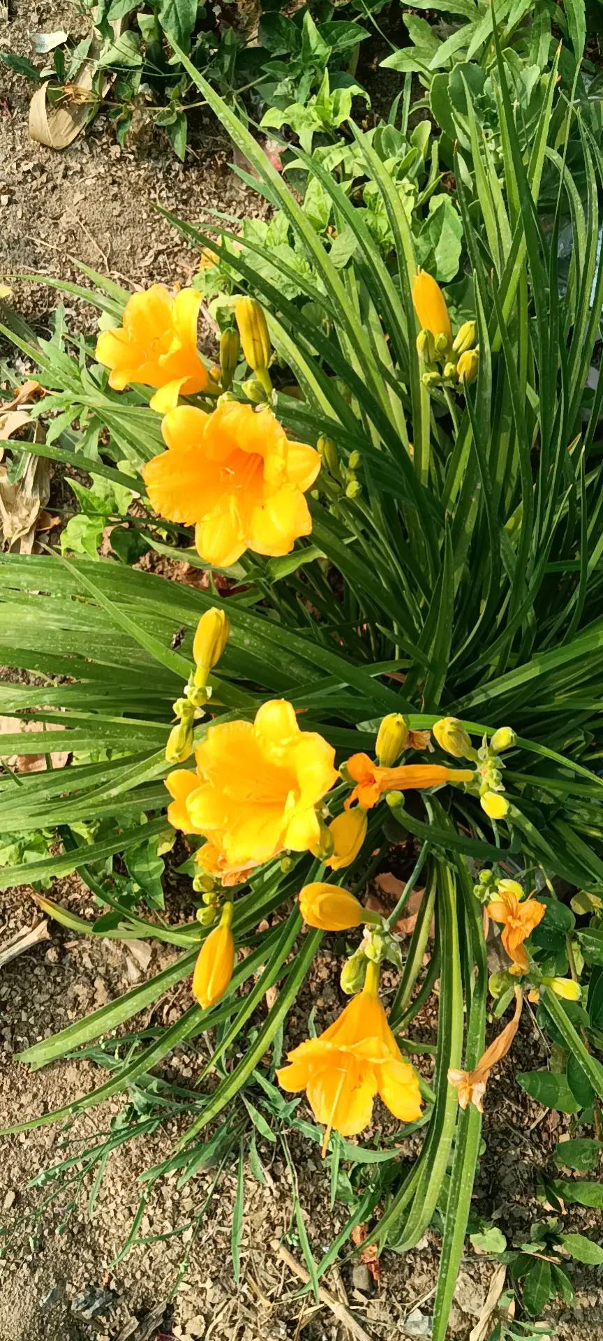 有声书工作室靠什么赚钱,有声书怎样赚钱