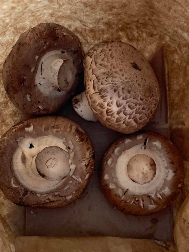 14个生活小技巧,14个生活小妙招大全