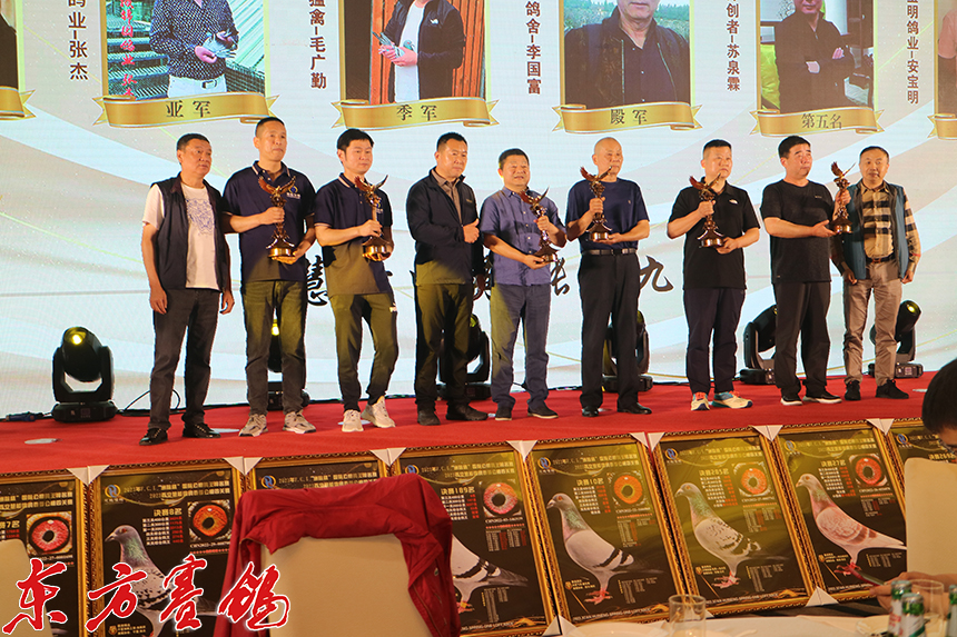 慧能信鸽秋棚晚宴,慧能金鸽源公棚春棚