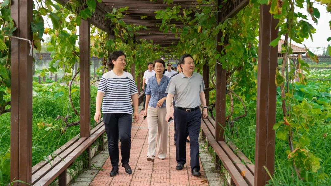 金陵中学新校区何时搬迁,金陵中学新校区最新消息