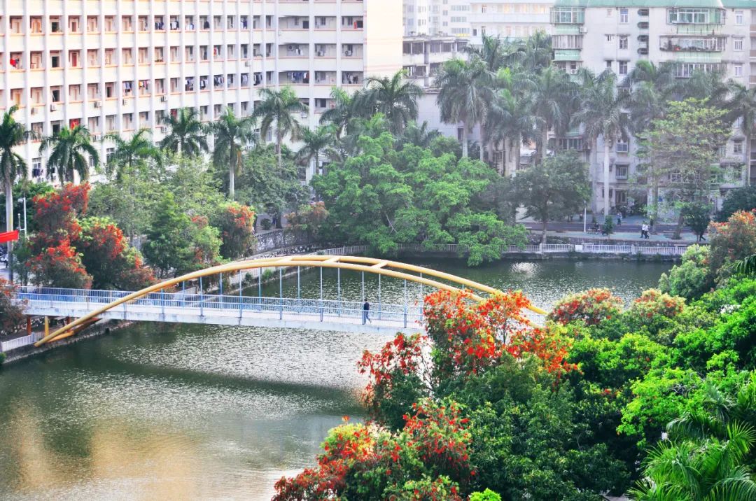 南方医科大学卓越创新班特色,广州医科大学创新班