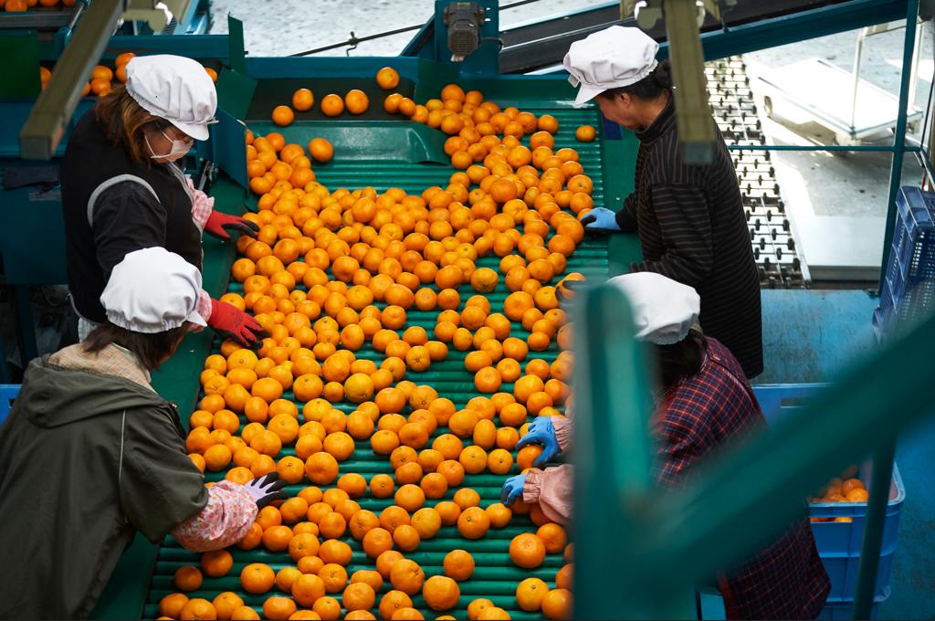 从零售模式到供应链创新怎么赚钱,未来5年供应链商业模式