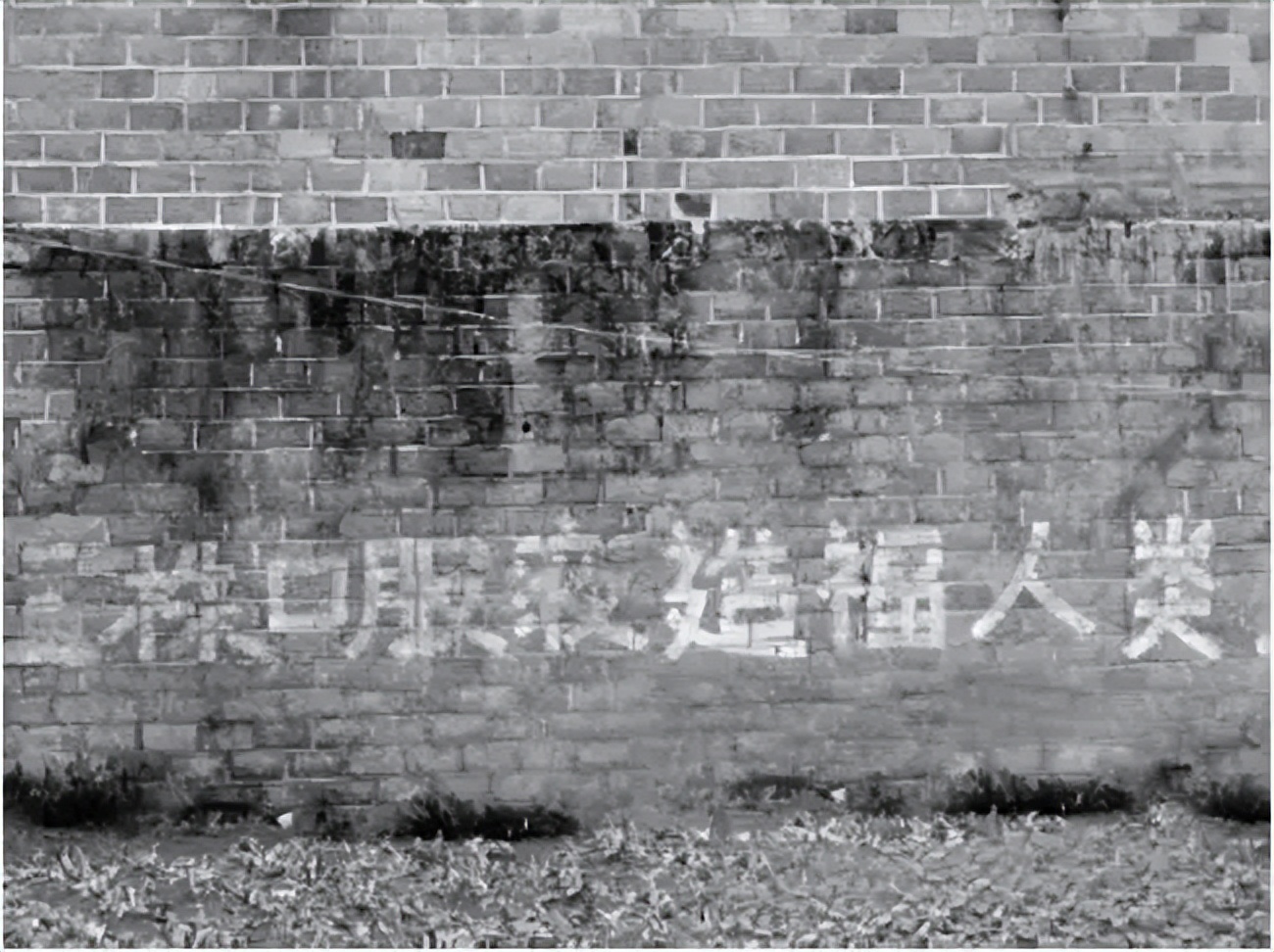 曾经保健品帝国覆灭之路,百亿保健品帝国