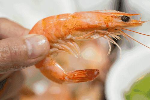 冷冻虾都是怎么剥虾仁,快速剥虾壳的小秘招