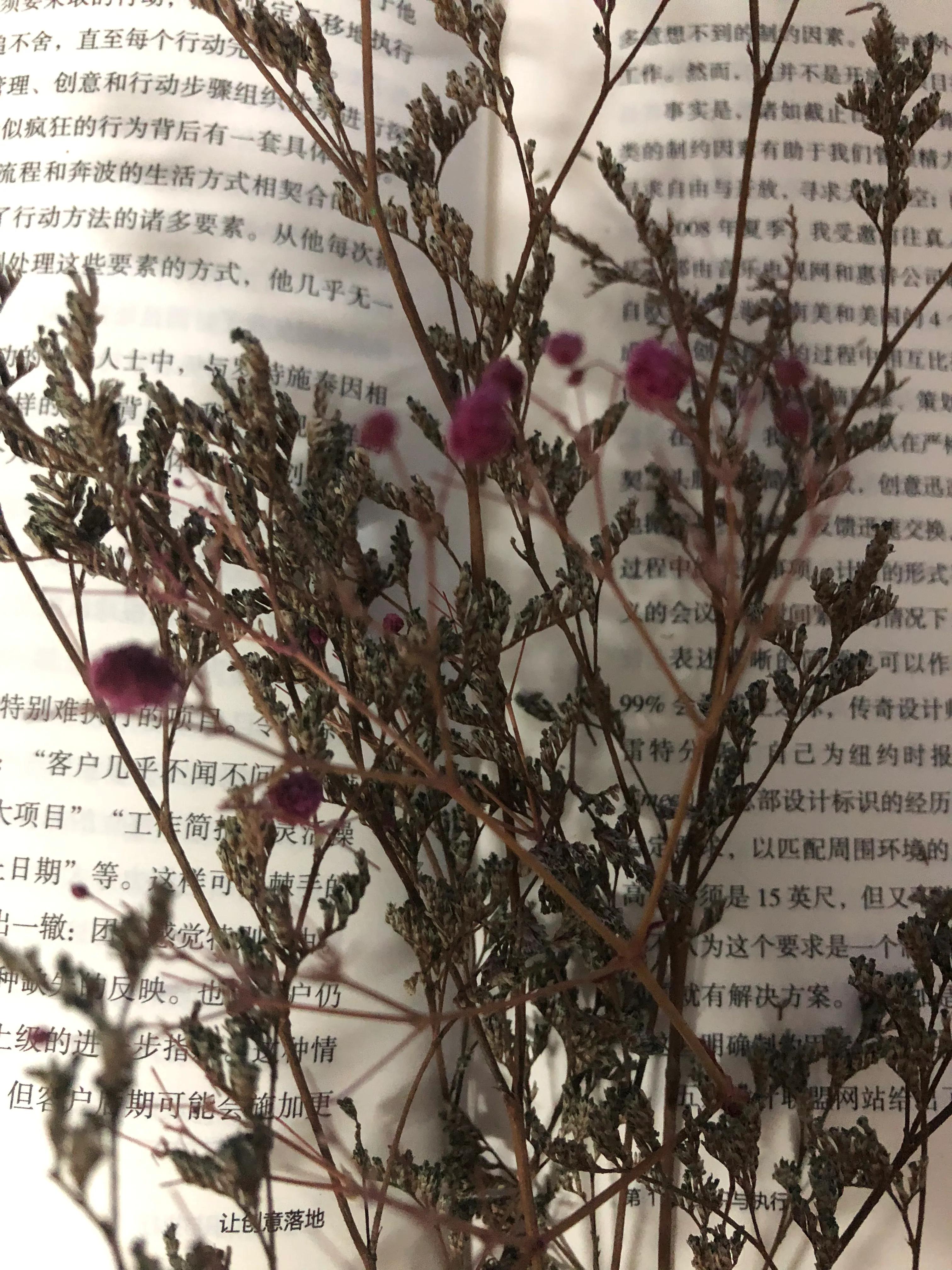 让创意落地,如何让你的创意更有黏性