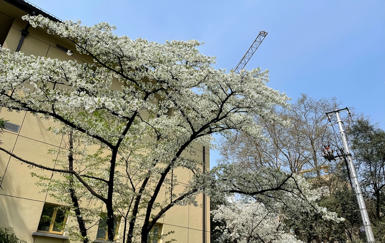 南京医科大学是哪年评上双一流,新晋双一流大学分数