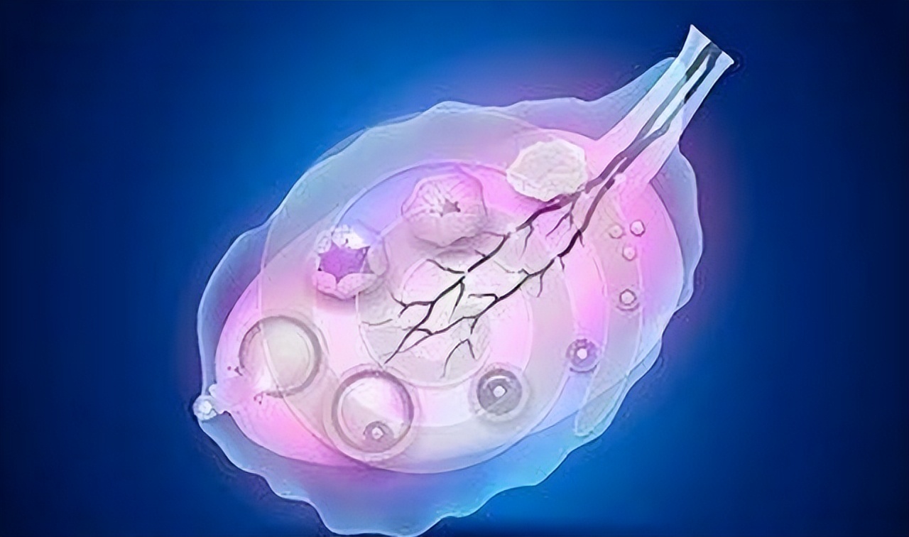 想要测排卵期要天天去吗,排卵期是不是可以通过白带判断