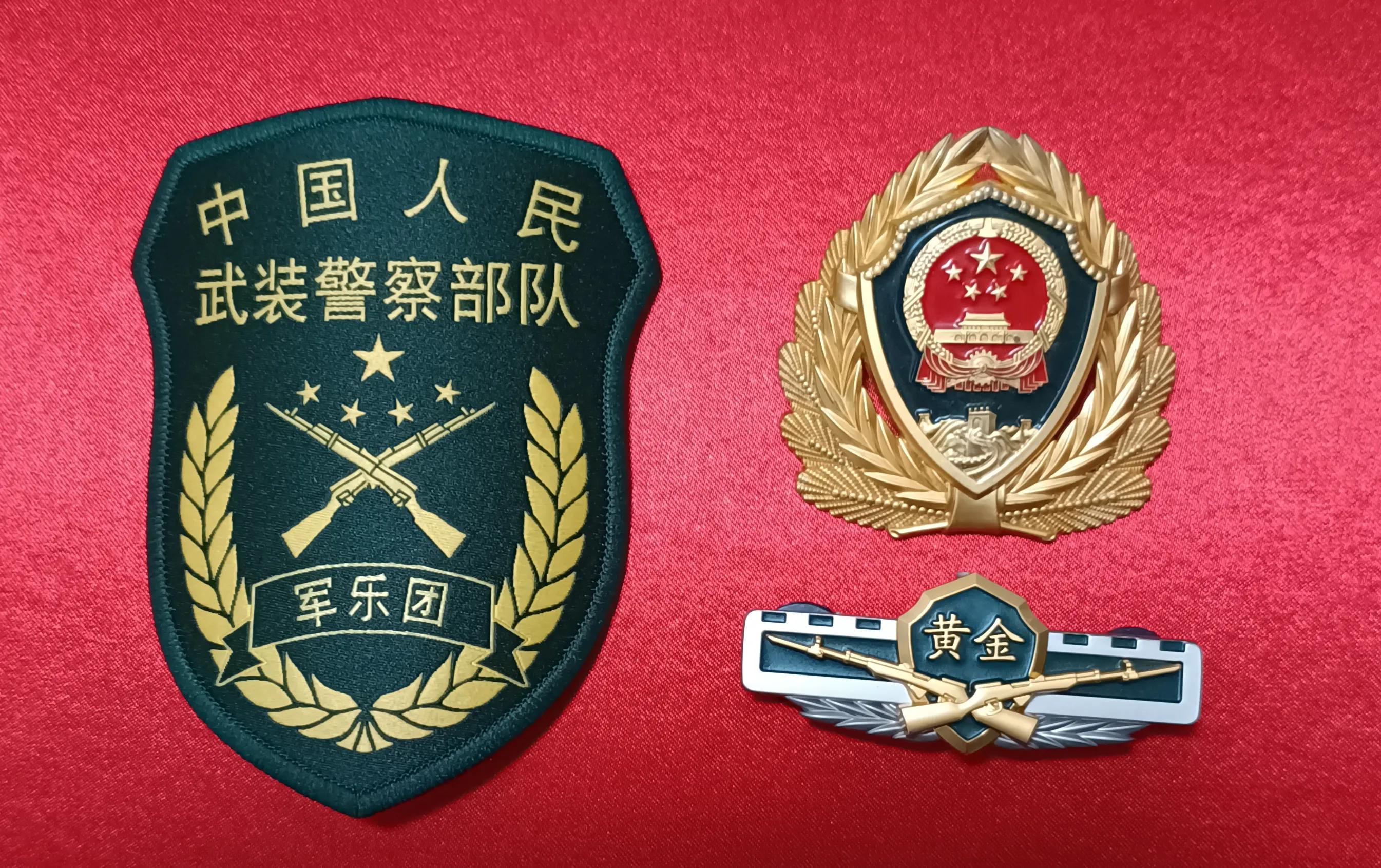 毛启国：*警武**部队16式臂章鉴赏