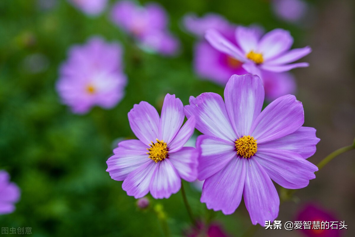 讨厌一个人用不着翻脸的文章,面对很讨厌的人用不着翻脸