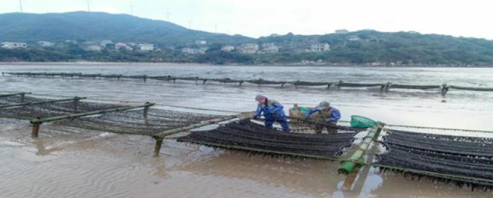 助力乡村振兴,尽享大海滋味,舟山线上海鲜年货节来了