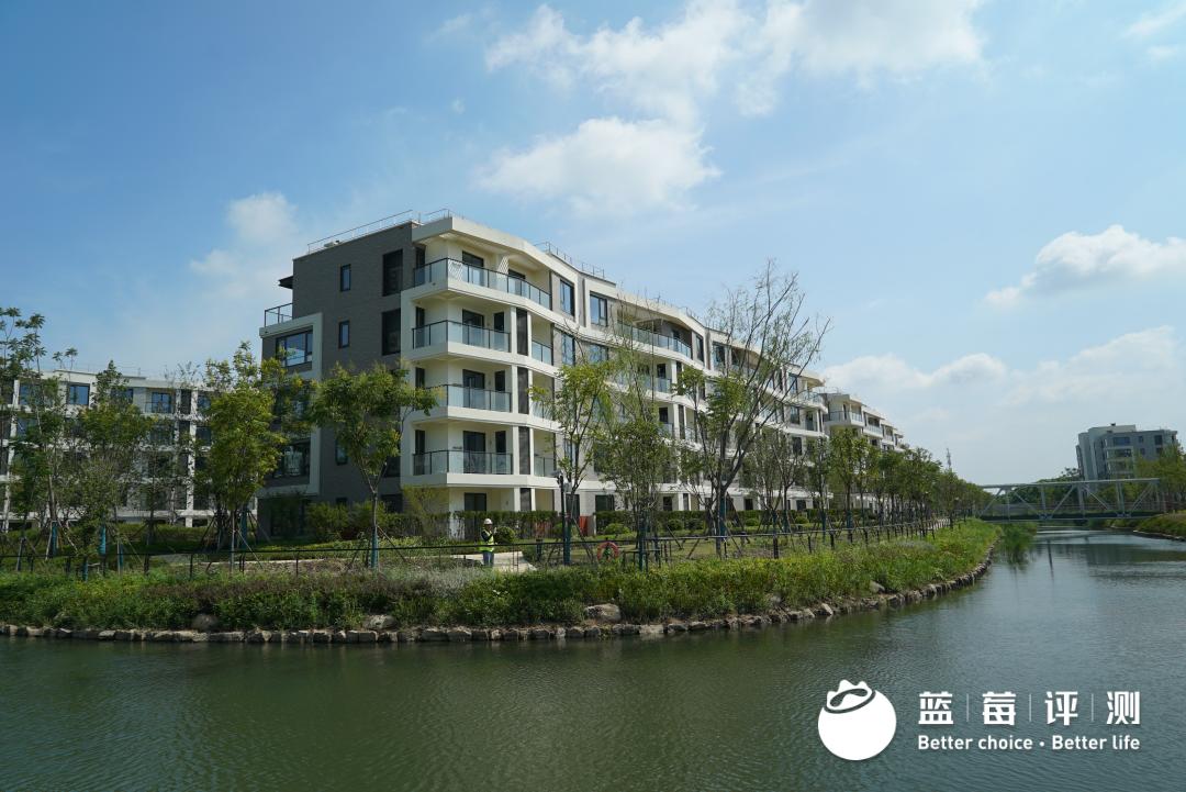 钃濊帗璇勬祴鍙戝０,钃濊帗璇勬祴2019