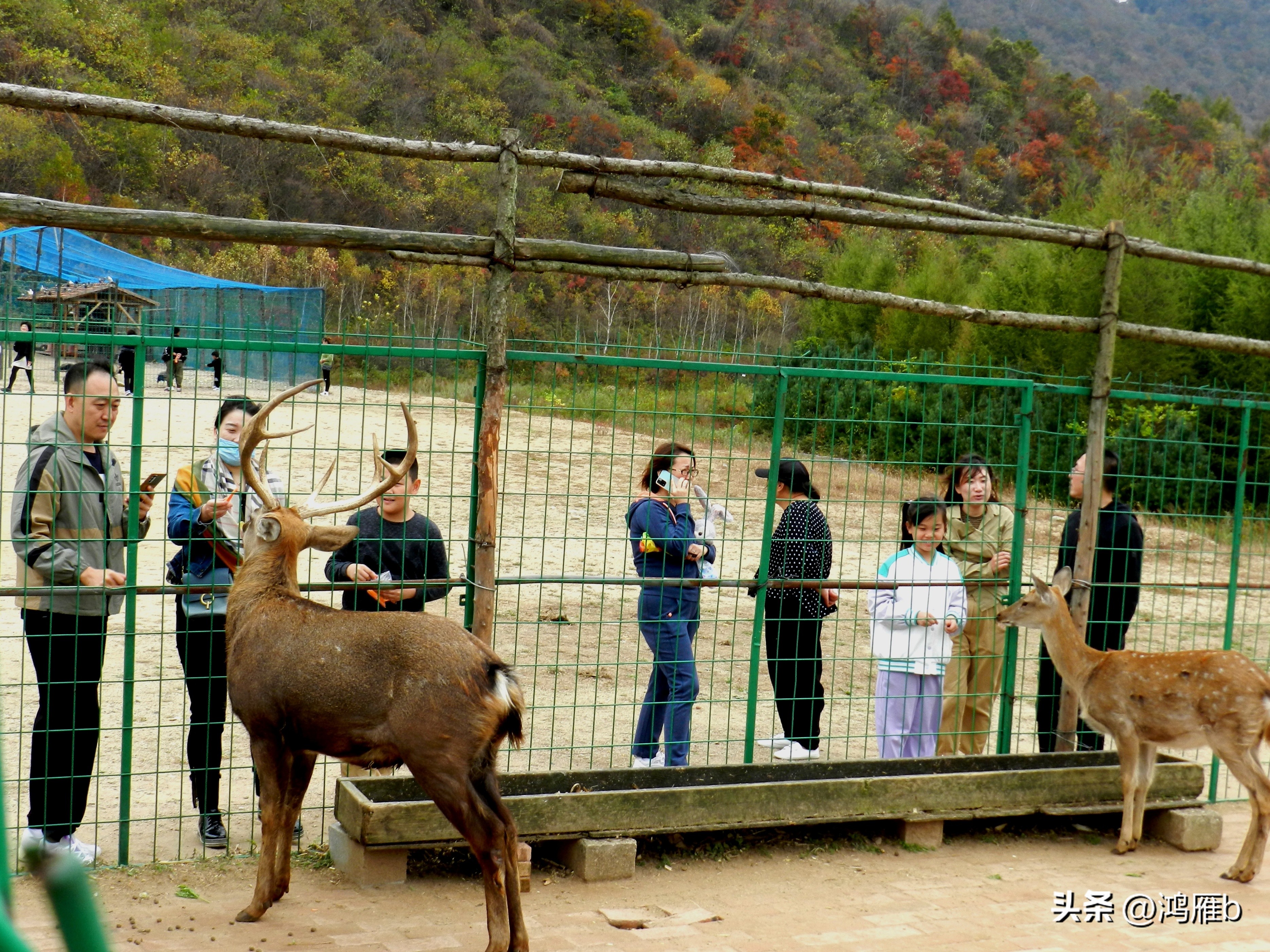 本溪温泉汤沟门票价格,本溪花溪沐枫雪温泉小镇
