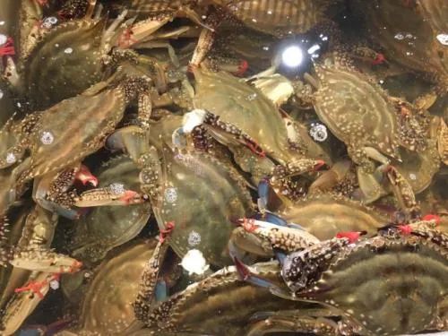 北京东四清真美食,东四最有名的美食