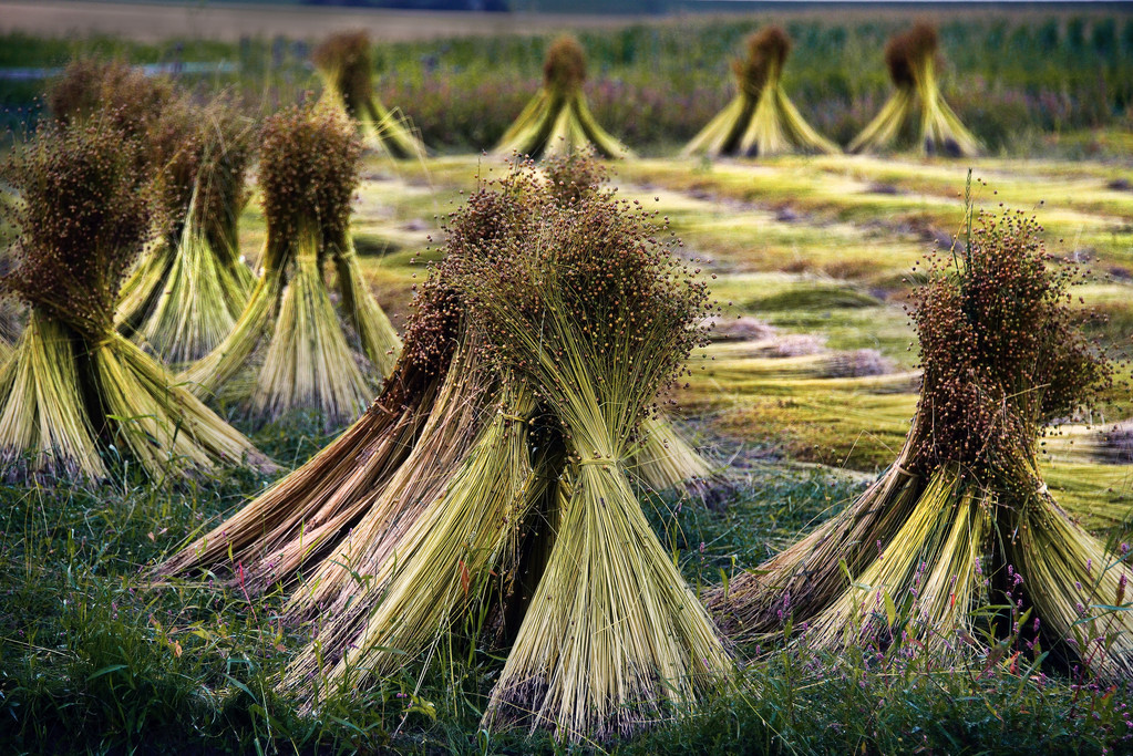 一战前英俄贸易关系,18世纪的中俄有什么关系