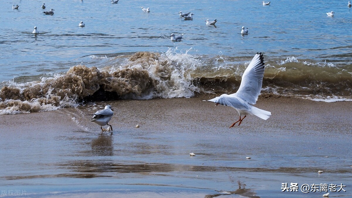 保姆与老人跟团旅游,保姆冬天去三亚