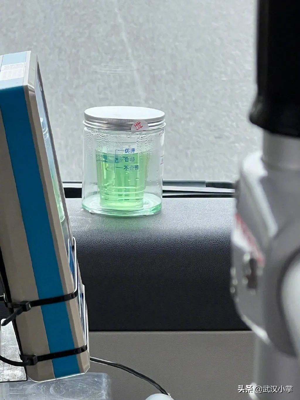 武汉必做的十件事,2017在武汉一定不可错过的10件事