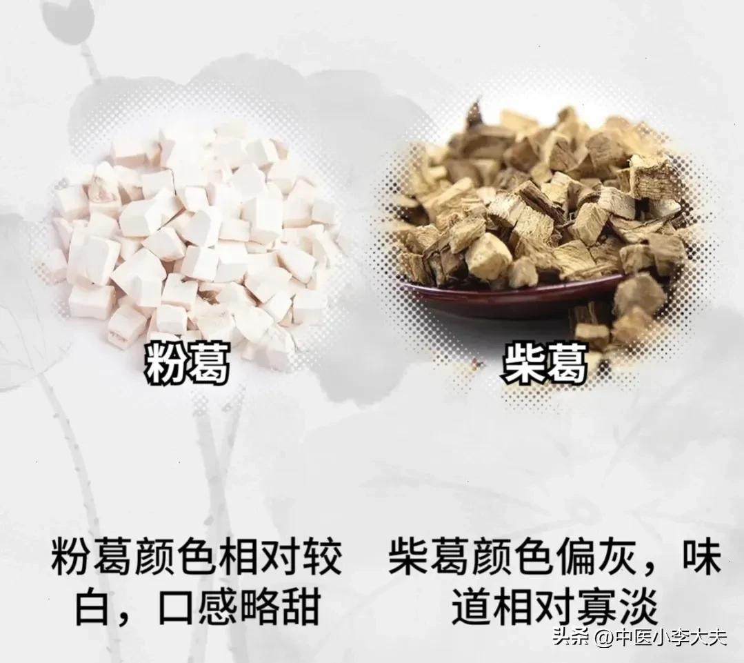 降三高最好的一味中药葛根,葛根中药材能治高血压降血脂吗