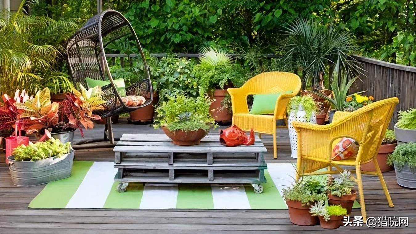 夏天院子蚊子多怎么办生活小妙招,夏天院子蚊虫多咋办