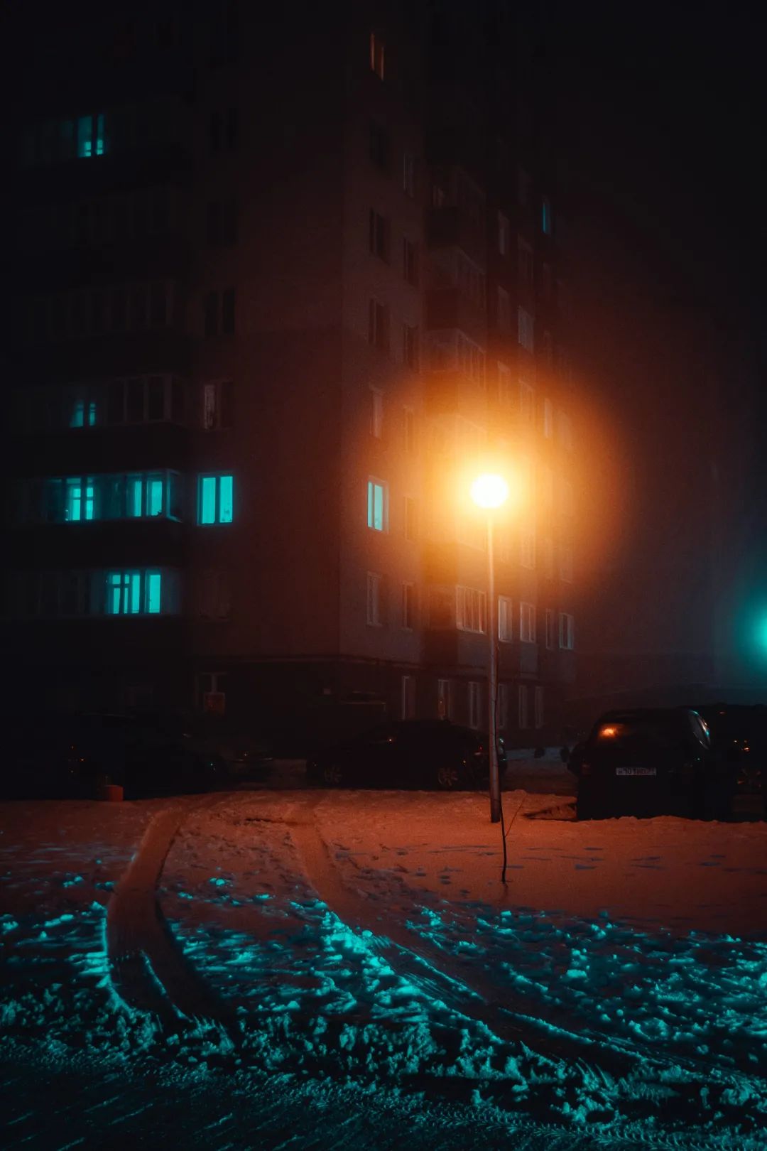 下雪适合拍什么大片,下雪到雪里面拍照片怎么拍最好看