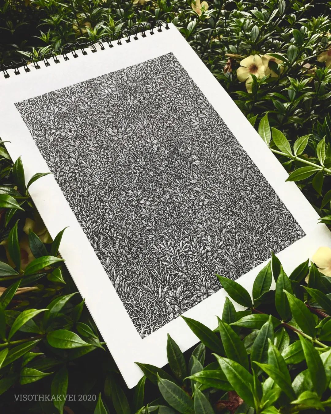 简单治愈强迫症画,让密集恐惧症非常难受的画