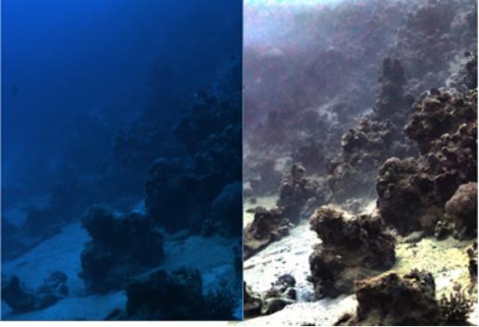 偏振特征,偏振的特征信息