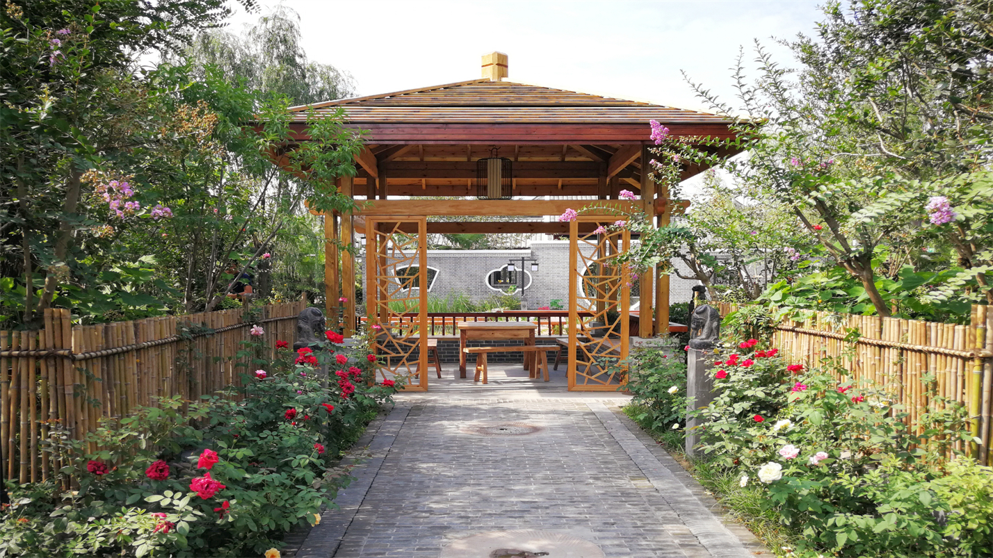 一杯茶一份淡雅的情怀,一杯雅茶