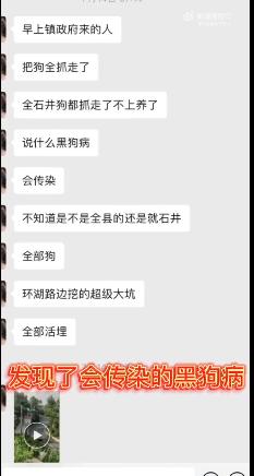 最委屈网红小狗龇牙咧嘴,委屈小狗疑似被虐待