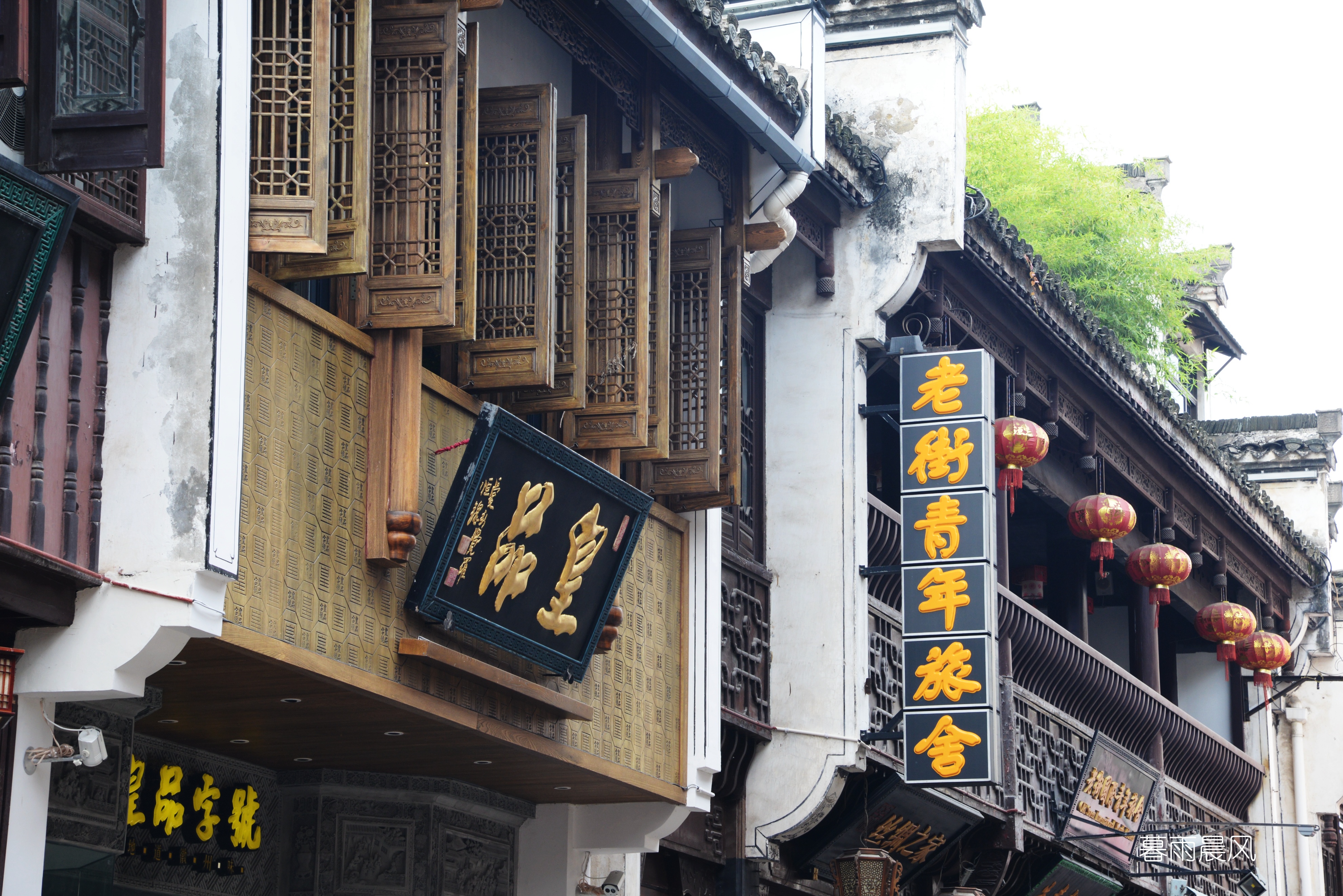 2014年黄山游,2014黄山银毫