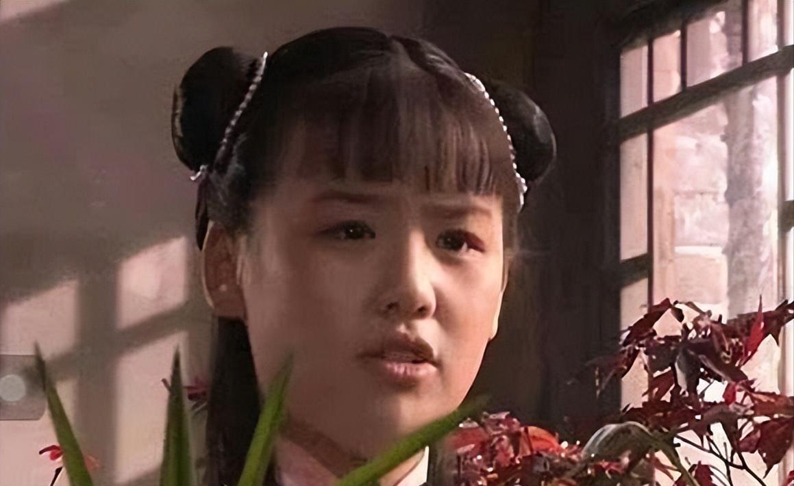 李冰冰姐妹花在娱乐圈打拼靠什么,十对明星姐妹