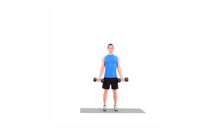 打篮球必练的提升上肢力量的训练,女性上肢力量训练100个动作