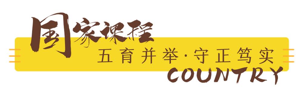 创新绵实丨聚焦新高考（三）：佳晴有新“课”，青衿自有“程”