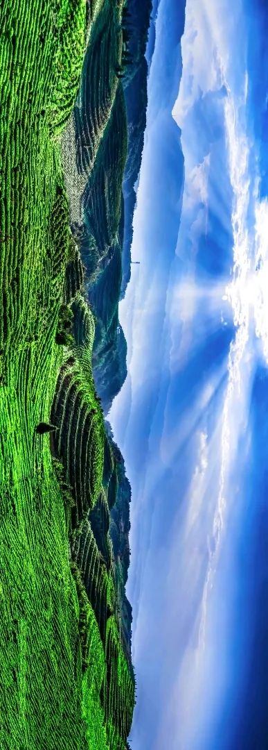 清凉六盘水国际马拉松,清凉马拉松激情六盘水倒计时8天