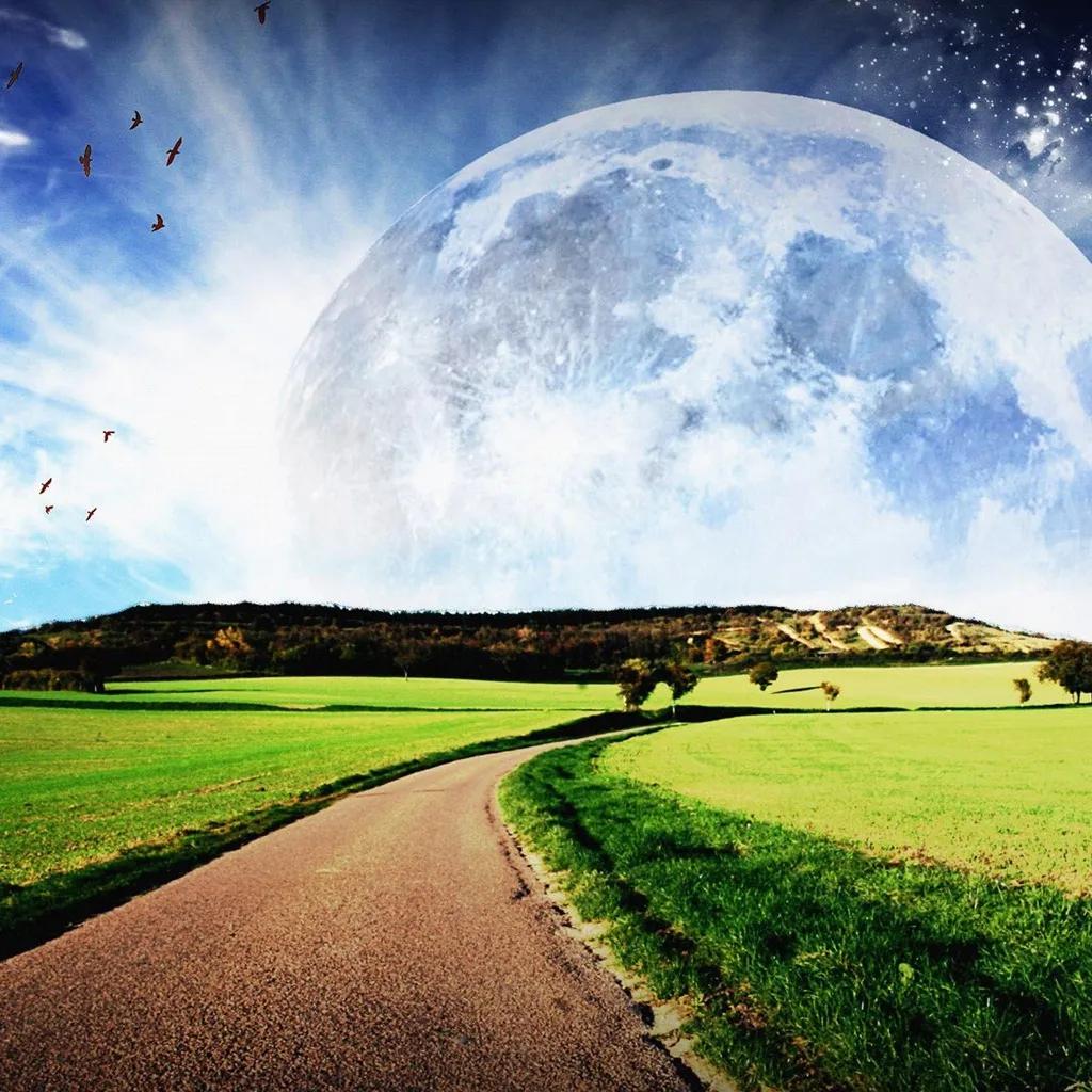 美军虐囚犯后果,美军虐囚行为