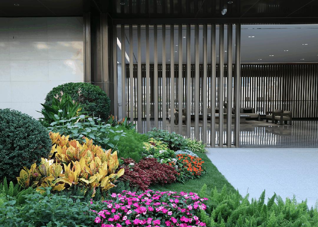 深圳龙华星河星悦云邸二期多高,星河星悦云邸二期什么时候建成