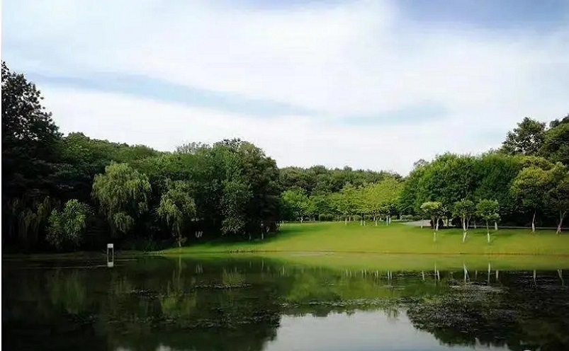 12月南京有哪些免费景点,南京市民免费旅游景点