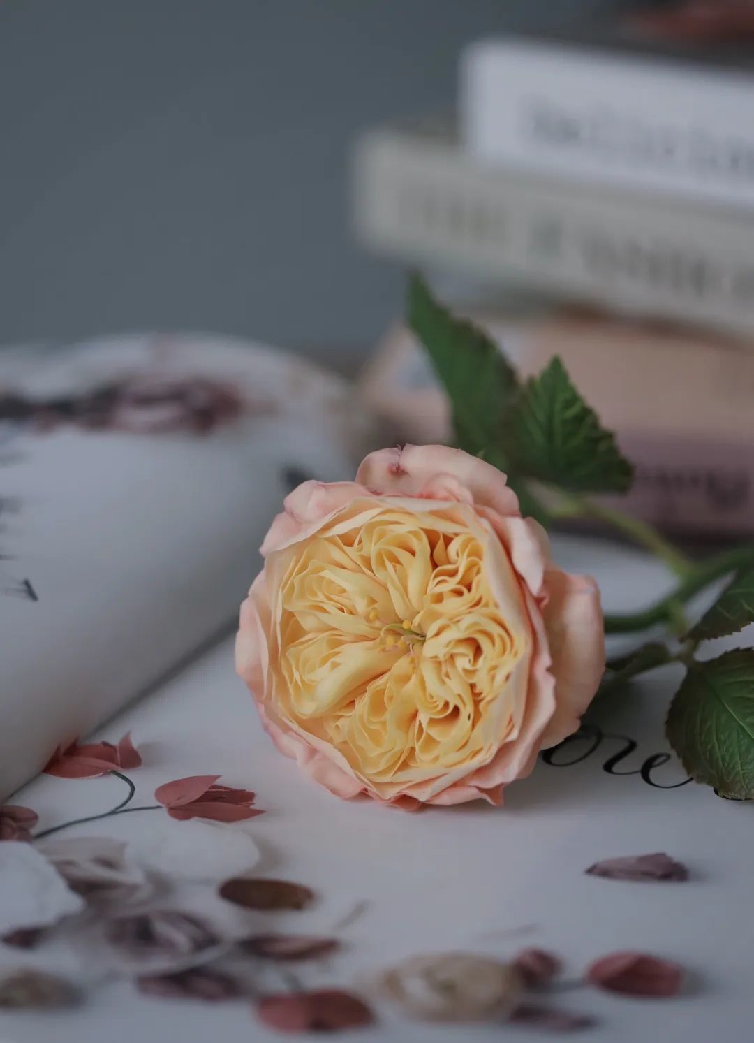 DIY树脂黏土丨通透有质感，仿真还轻薄，它的魅力远超你的想象