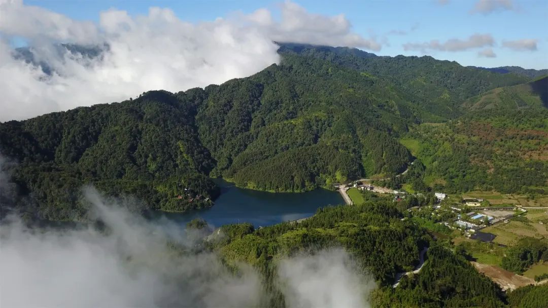 云上梯田梦想红河是谁提出的,云上梯田梦想红河云南旅游新方向